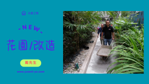 花園改造(後院)